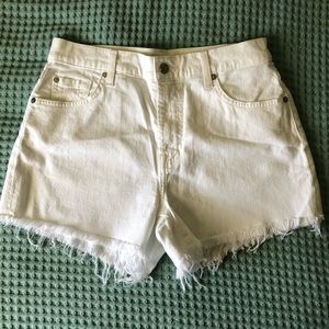 7 for All Mankind Shorts